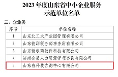 公司入选山东省中小企业服务示范单位